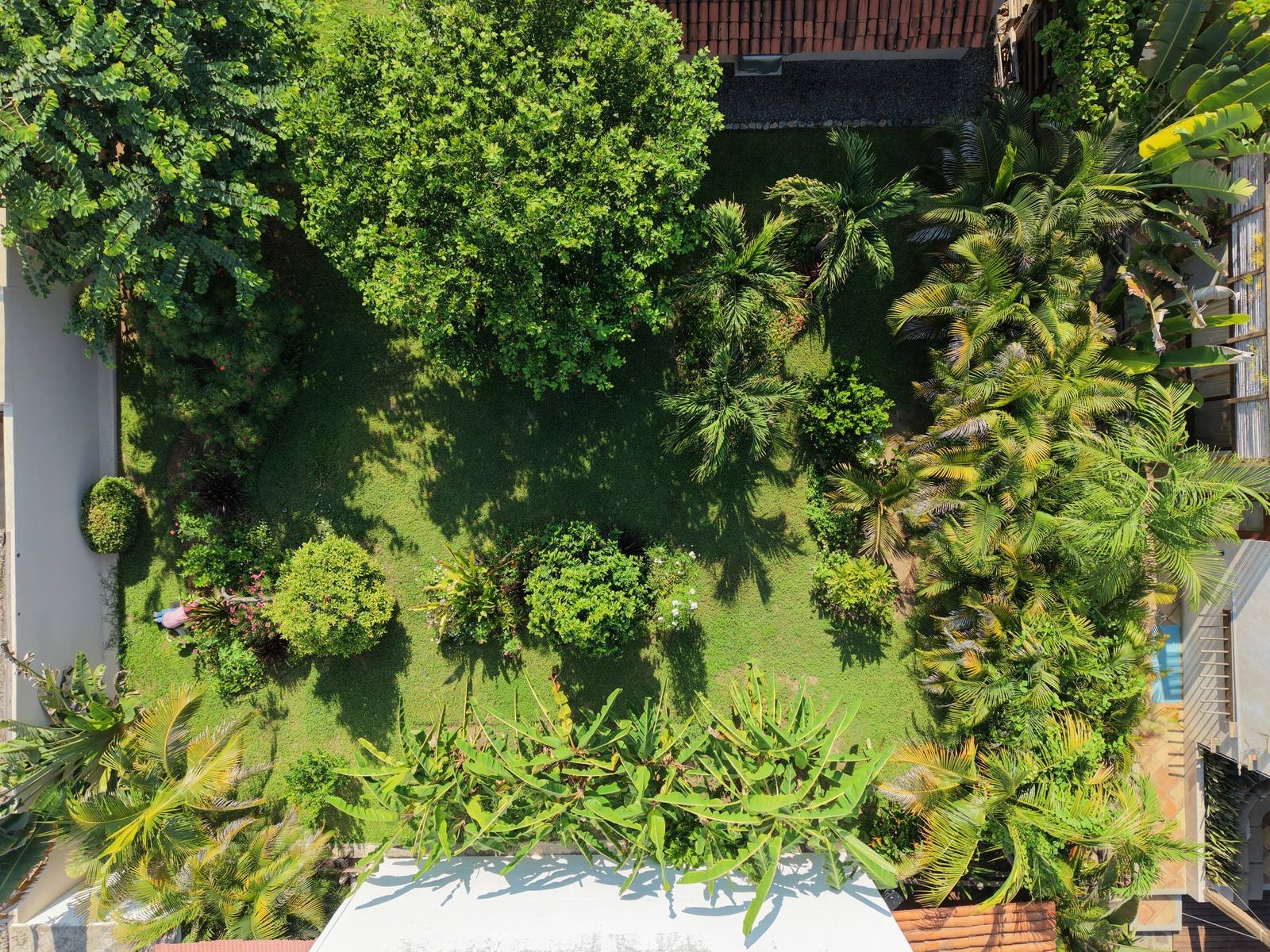 Overhead view of the tropical garden and grounds at Casa Nisha, La Saladita